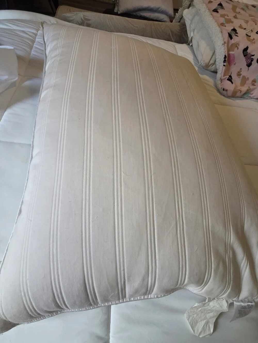 Liz Claiborne plush down